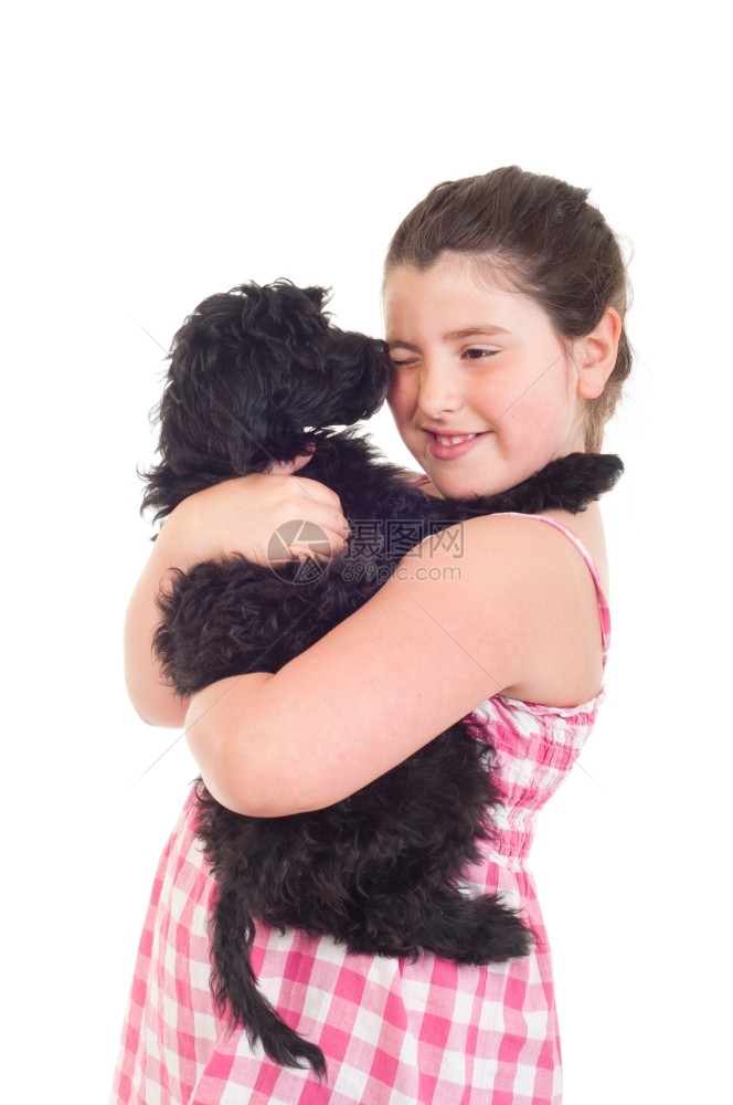 可爱的小女孩得到一个吻从她的狗亲孤立在白色背景希普动物女图片