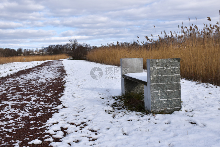 途径蓝色的冷冻冬季在瑞典群岛奥兰以徒步行的马座在草原上渡过冬季图片