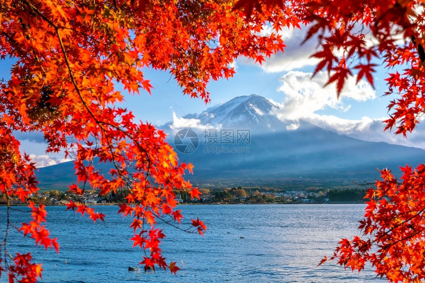 季节丰富多彩的日出在本川口子湖的富藤山上红叶多姿彩的秋季和青藤山图片