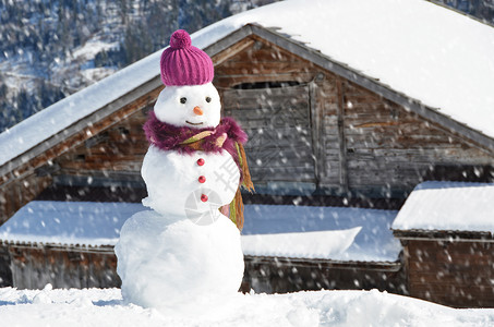 胡萝卜瑞士雪人对抗阿尔卑斯山全景户外高清图片