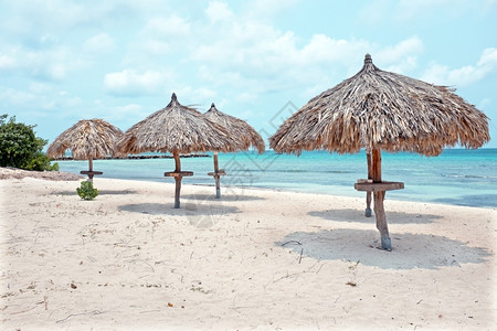 茅草夏天阿鲁巴岛海滩的草伞Arubus岛小屋图片