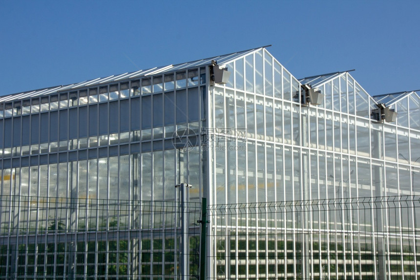 大型工业温室覆盖生产园艺图片