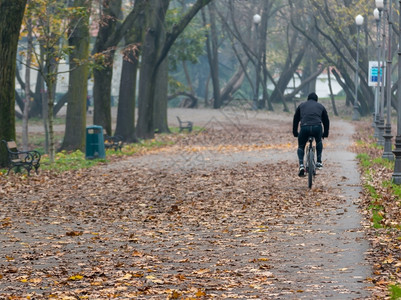 公园骑自行车的男子图片