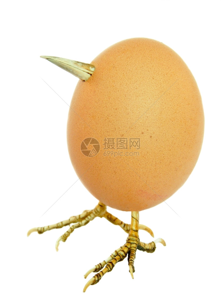 蛋白破裂鸡像鸟一样有腿和嘴的鸡蛋在白色背景上被孤立蛋白质图片