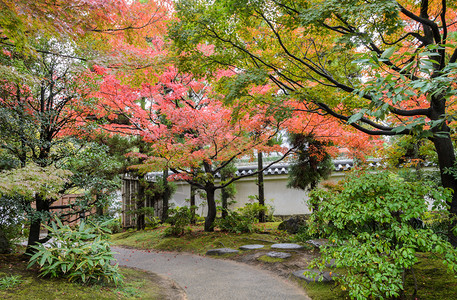 叶子外秋季在日本喜济传统日式小昆花园图片