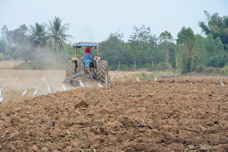 可持续的泰国田间拖拉机播种槽乡村的园丁图片