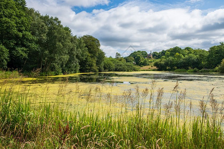 户外树英国进入联合王CheshireDisleyLyme公园的招入口棚附近植被和池塘背景图片