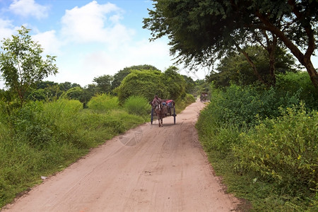 路游客宗教的在缅甸巴甘驾着马车高清图片