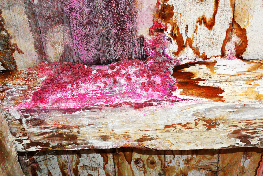 衰变木头光束旧房屋结构潮湿木柴上有真菌模图片