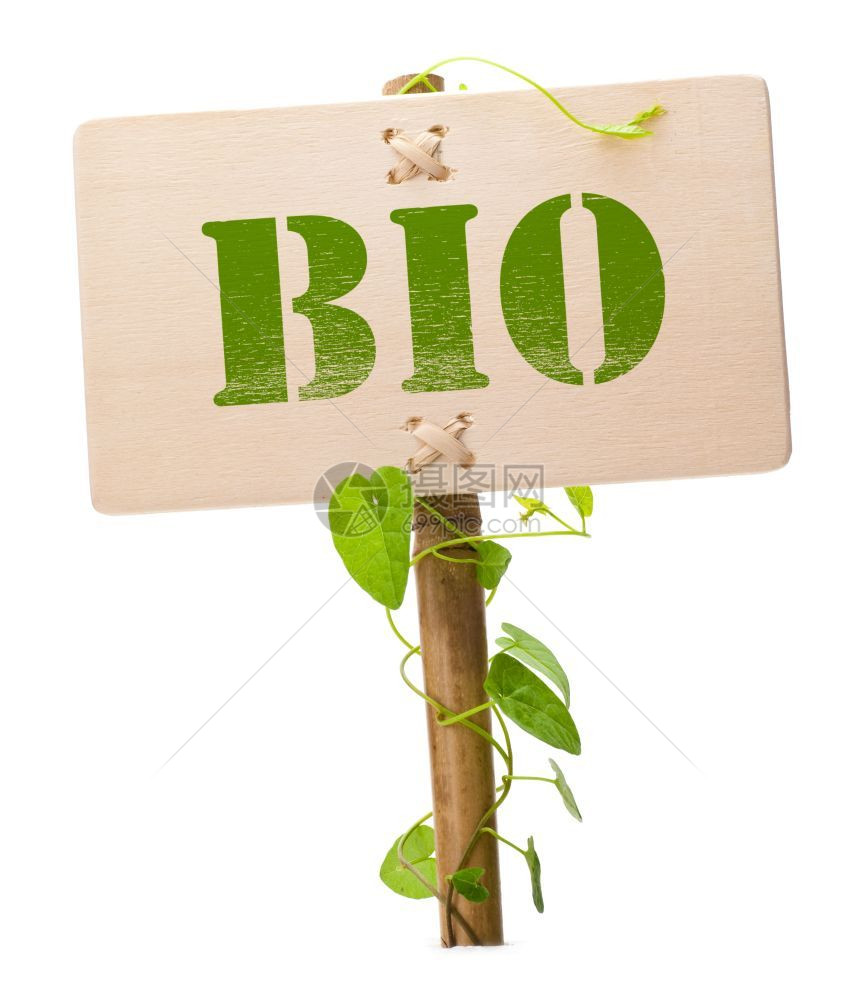 木制面板和绿色植物上的生符号信息图像以白色背景隔离木制的字复图片
