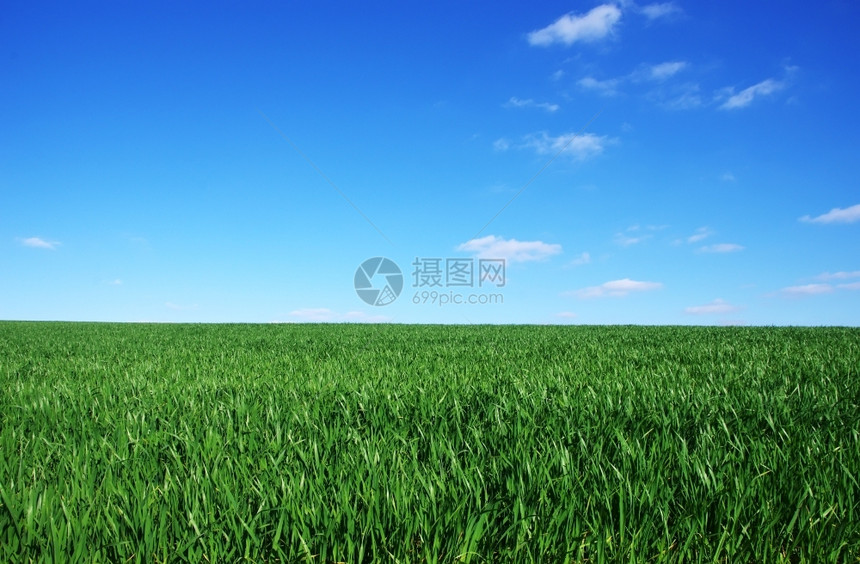 风景优美草地蓝色天空背景的麦田小字段阿连特茹图片