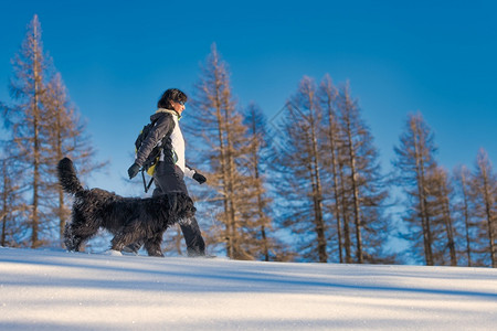 女孩与狗在雪中漫步图片