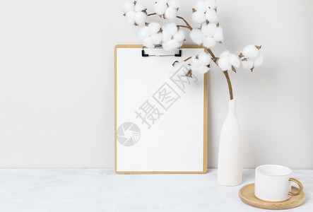 多于室内花卉装饰桌上棉花FrontView白纸卡色花瓶中美丽的白朵底爱小样背景图片