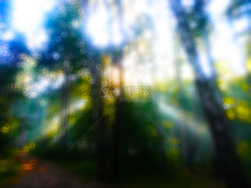 目的小路景观在森林bokeh背景中水平太阳光照亮图片