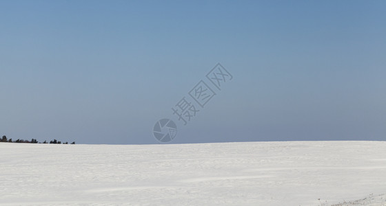 阳光明媚的冬季风景与蓝天和田地上积雪树木在地平线上生长寒冷的农田美丽图片