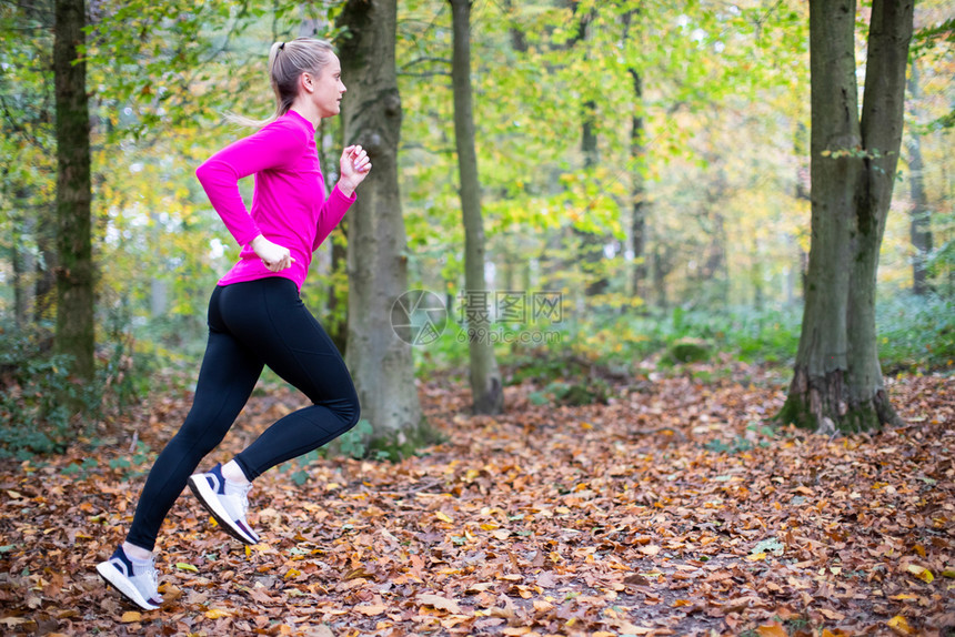 赛跑者树妇女早晨秋天通过林地进行锻炼保持体操休闲的图片