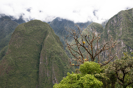 地标美国景观从马丘比看安第斯多云山景图片