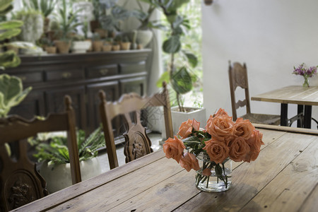 装饰客厅室内古董风格股票照片锅明亮的植物图片