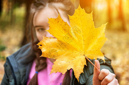 九月美丽的身处模糊背景年轻女孩被黄色的叶覆盖自然图片