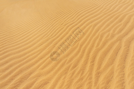 质地金沙丘背景漠温暖的图片
