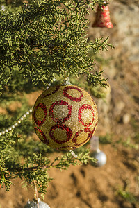 模糊风景优美诺埃尔自然背景下森林中装饰的圣诞树森林中装饰的圣诞树图片
