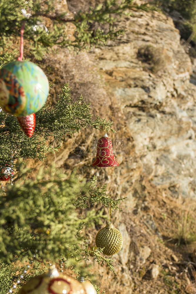 自然背景下森林中装饰的圣诞树森林中装饰的圣诞树庆典叶子喜的图片