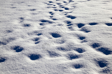 在地表大雪降后积下之后人们和土壤结构的痕迹有不规则之处在大雪降后有人和土壤结构接近雪流等级预报那里背景