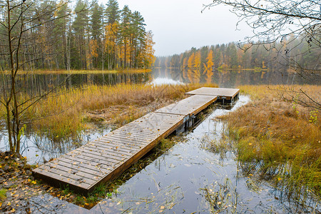 质地十一月季节芬兰林木堤森和湖泊的秋天风景图片