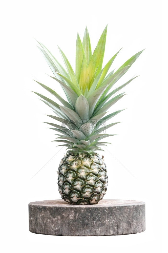 喝植物白上孤立的菠萝木板图片