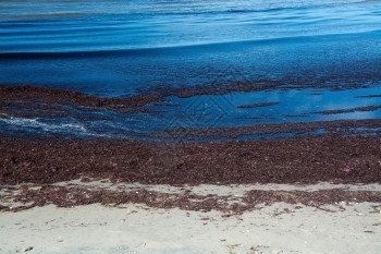 平静的海水图片