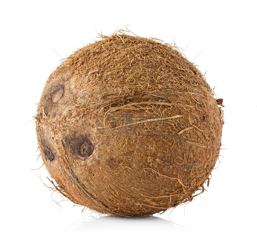白上孤立的椰子食物夏天毛茸图片