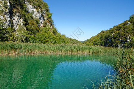 夏季明朗天气的池塘风景背景图片