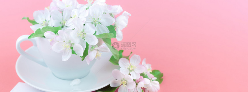 空白的创意概念咖啡杯和白苹果树花在粉红背景上开花明信片以最微小的风格文本模板拟并复制空间妈们信封图片