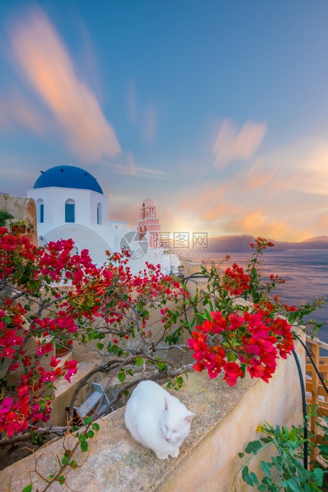 奢华白色的地中海圣托里尼岛奥亚镇城市景色希腊日落时全景图片