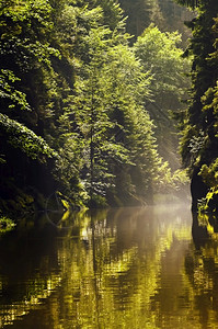 涟漪生态的外部卡米尼内斯河在有树的卡梅尼采河岩石之间流动图片