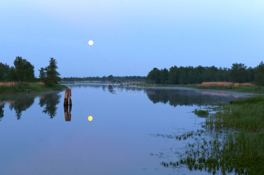 美丽的满清除月亮在池塘里的倒影清夜月光亮在池塘里的倒影图片