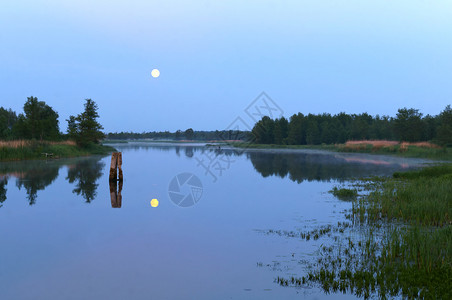 美丽的满清除月亮在池塘里的倒影清夜月光亮在池塘里的倒影图片