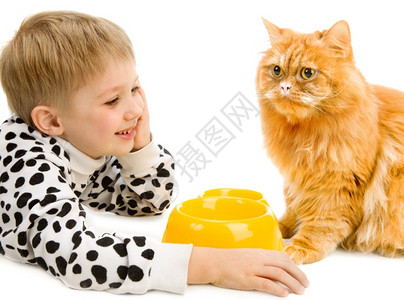 小男孩和猫在室内服装喂食玩耍的小男孩和严肃红猫背景