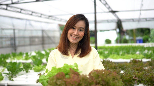 收获新鲜蔬菜的年轻女性图片