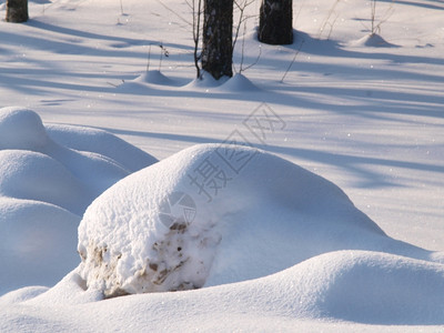 明亮的冬季清雪白天亮度爬坡道冬图片