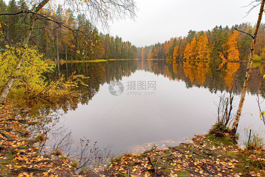 芬兰的秋季风景多姿彩在湖水中反射冷静的宁努克西奥图片