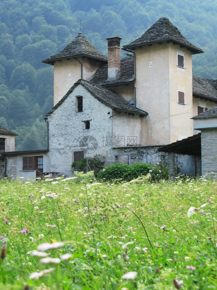 欧洲乡村的泰辛瑞士南部Verzasca山谷的老拖拉多图片