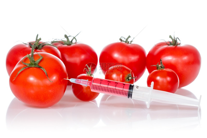 注入白色背景的新鲜红西番茄孤立于白底注射物质化学图片