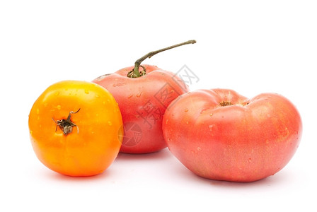 生产吃态番茄有品位的图片