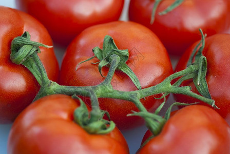 盐新鲜的番茄可以切开意大利红色的盘子图片