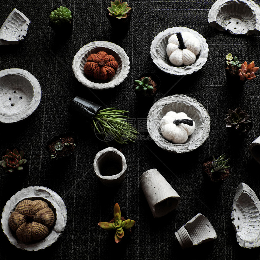 手工制作的花盆由水泥制成用为植物加料到装饰家从最高角度看黑背景惊人有微型锅和绿色植物具体的惊人内部图片