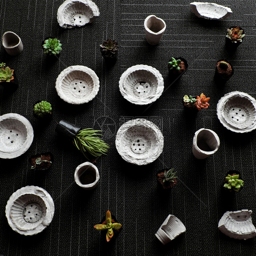 最佳多汁的新鲜手工制作花盆由水泥制成用为植物加料到装饰家从最高角度看黑背景惊人有微型锅和绿色植物图片