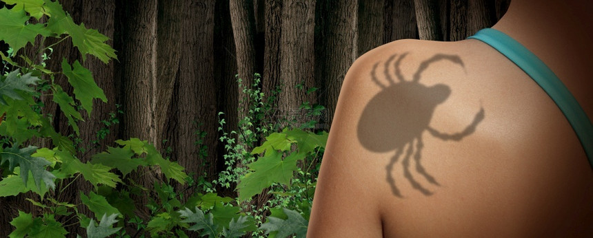 阴影将森林中的昆虫和寄生危险作为3D说明样式中的可怕疾病载体虫咪作为野外淋巴病的风险莱姆昆虫学图片