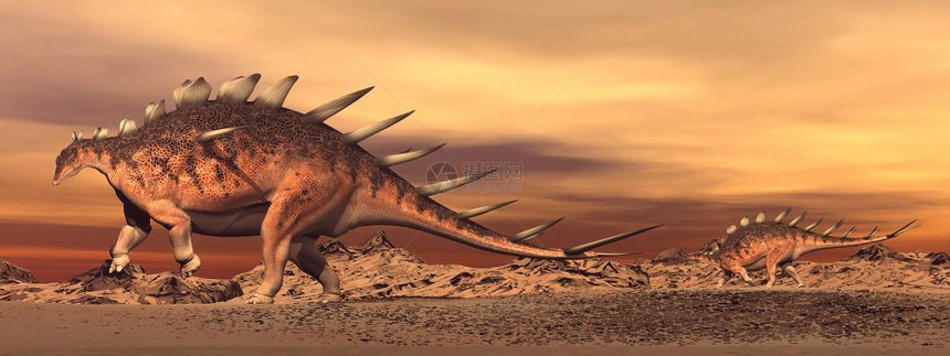 肯特龙恐妈和婴儿在沙漠中走动由日落肯特龙恐经过家庭插图图片