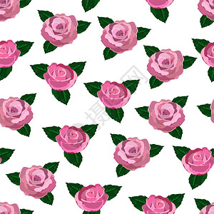 花瓣女化剪贴画白色背景的粉红玫瑰叶子和墙纸上的粉红玫瑰色图片
